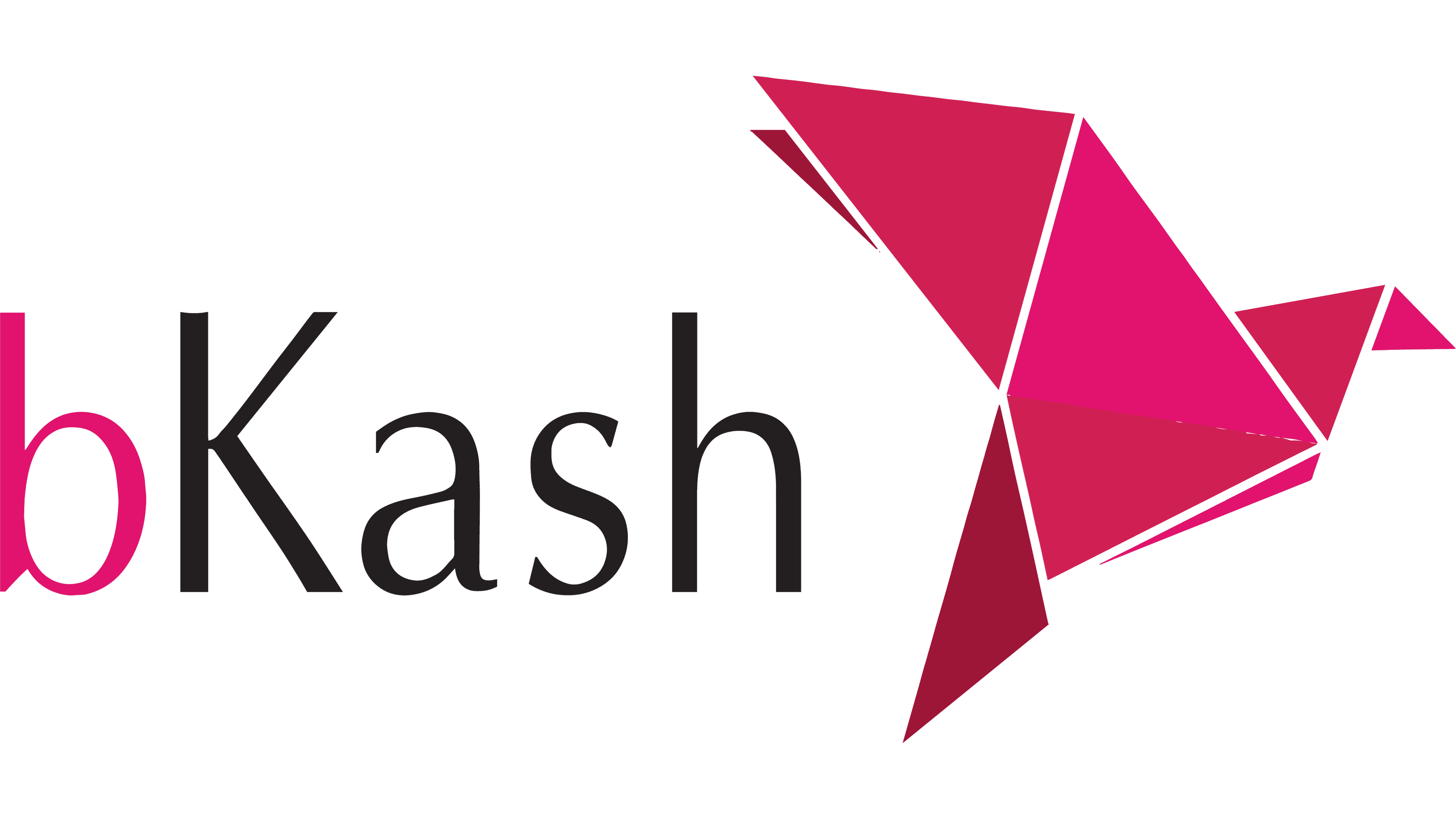 Bkash Logo